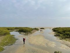 -北海金海湾红树林生态旅游区