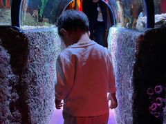 -沈阳海洋探索中心