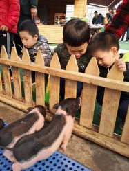 -萌宠亲子动物乐园(槐房万达店)