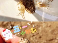 -鹰龙海畔度假酒店(咸祥店)