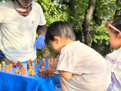 -帽儿山国家森林公园