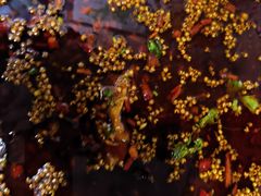 -味之绝热血美蛙鱼火锅(中坝店)