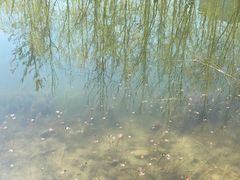 -中关村生命科学园