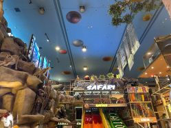 -卡通尼·Safari非洲探索乐园·生日会(金桥国际商业广场店)