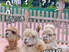 -无锡动物园·太湖欢乐园