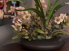 -施奈儿.洗头頭療.按摩SPA.采耳(上梅林店)