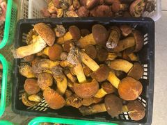 -双喜农庄·菌香园(安居家园店)