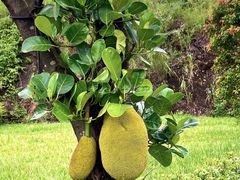 -水濂山森林公园