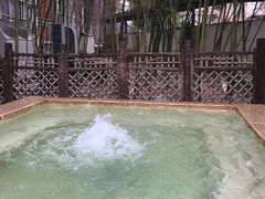 -春晖园度假酒店温泉