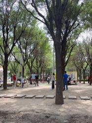 -优沃得自然教育农场·冰雪乐园·生日会·研学