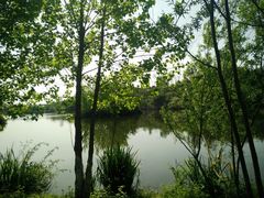 -白鹭湾湿地公园