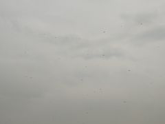 -汉长安城未央宫国家考古遗址公园