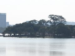 -顺峰山公园