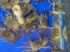 -阳澄湖大闸蟹·琼灵阁牌品牌连锁(吴中总店)