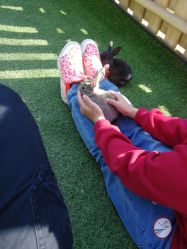 -萌宠亲子动物乐园(槐房万达店)