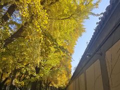 -钓鱼台国宾馆