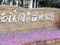 -西溪国家湿地公园