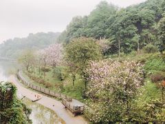 -广州市帽峰山景区