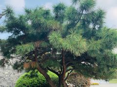 -南通濠河风景名胜区-钟楼谯楼
