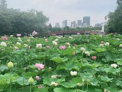 -黄兴公园
