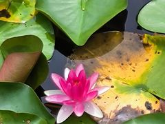 -白鹭湾湿地公园