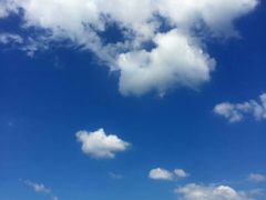 -江西景德镇玉田湖国家湿地公园