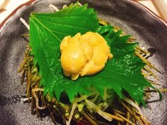 -左舞日本料理