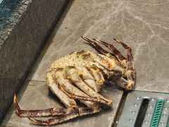 -鸿星花园酒家(银亿家园店)