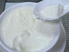 双皮奶-义顺牛奶公司