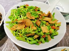冬苋菜梗子炒油渣-壹盏灯(惠农店)