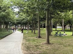 -顺峰山公园