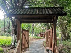 -厦门园林博览苑