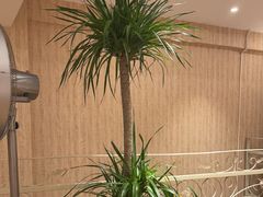 -乐乐大排档·30年老字号(浙江路店)