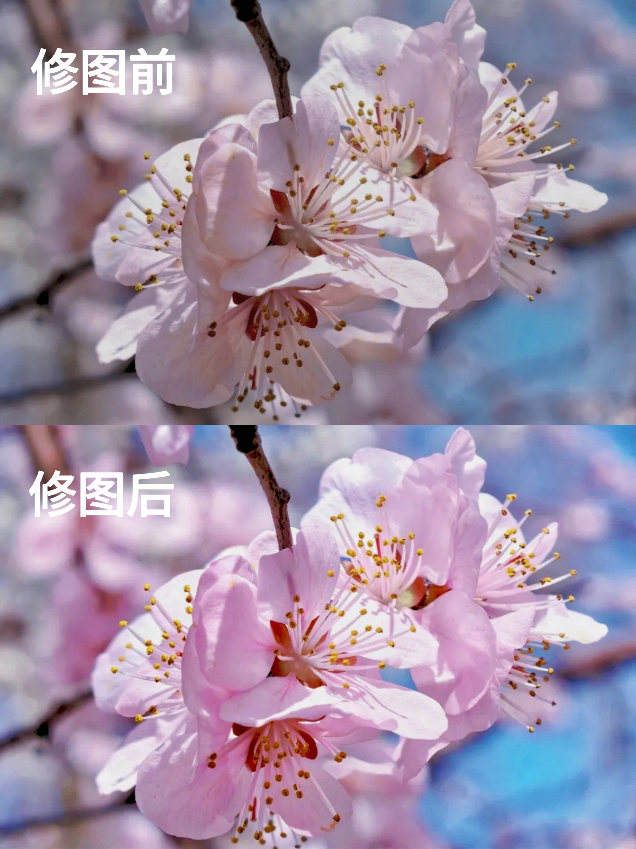 摄影学员拍摄粉末视频教程,技巧大全 摄影学员拍摄粉末视频教程,技巧大全
