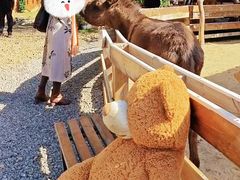 -HERRE·FARM 赫尔露营农场·团建聚会包场