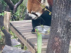 -石排湾郊野公园