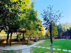 -北京张裕爱斐堡酒庄