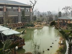 -成都安仁福朋喜来登酒店