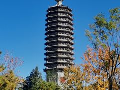 -西海子公园