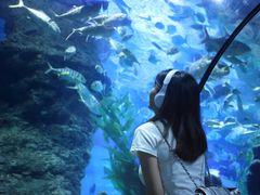 -南昌海洋公园