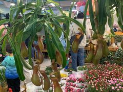-双季花艺园艺市场(浦东店)