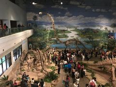 -自贡恐龙博物馆