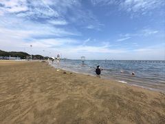 -碧海金沙