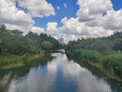 -昆山城市生态森林公园