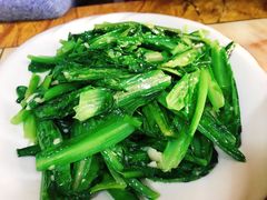 -煲来饱去冷水鱼
