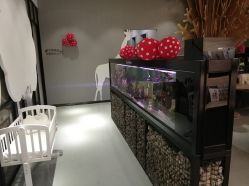 点击看大图 -可爱多国际儿童摄影会馆(龙泉店)
