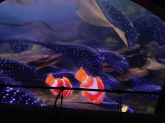 -海底巡游艇:尼莫和好友的海洋世界