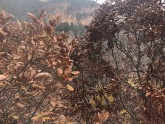 -北京上方山国家森林公园
