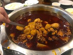 -冯记香辣兔火锅(茶店子总店)
