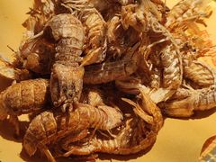 -旺角小渔村(二马路店)